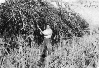 /album/%ce%ad%ce%ba%ce%b8%ce%b5%cf%83%ce%b7-%cf%86%cf%89%cf%84%ce%bf%ce%b3%cf%81%ce%b1%cf%86%ce%b9%cf%8e%ce%bd/%ce%b7-%cf%83%cf%85%ce%b3%ce%ba%ce%bf%ce%bc%ce%b9%ce%b4%ce%b7-%ce%bc%ce%b7%ce%bb%cf%89%ce%bd-%ce%b2-%ce%bd%cf%84%ce%bf%cf%85%cf%81%ce%bf%cf%83-jpg/